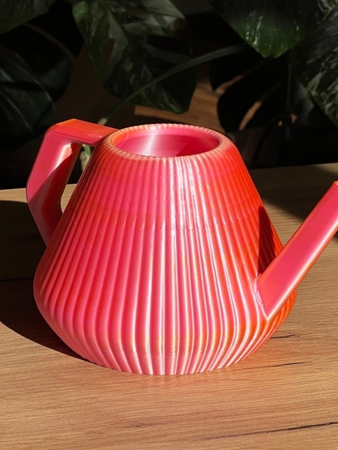 Konewka Venusta Gecko Sunset