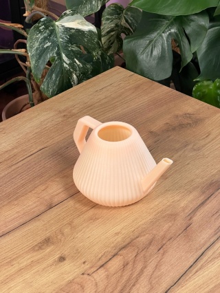 Konewka Venusta Peach