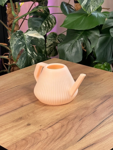 Konewka Venusta Peach