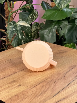 Konewka Venusta Peach