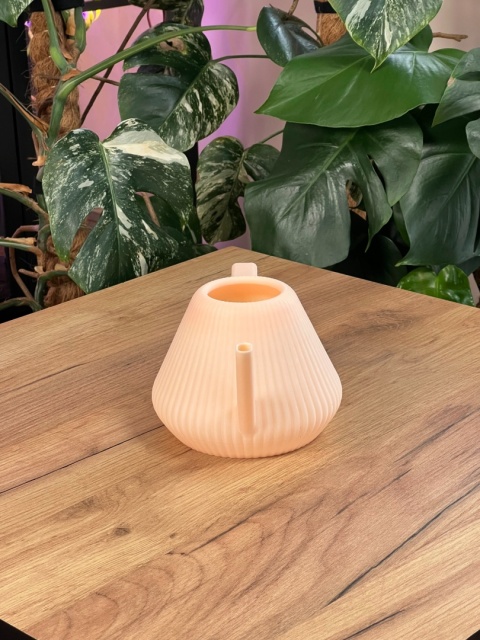 Konewka Venusta Peach