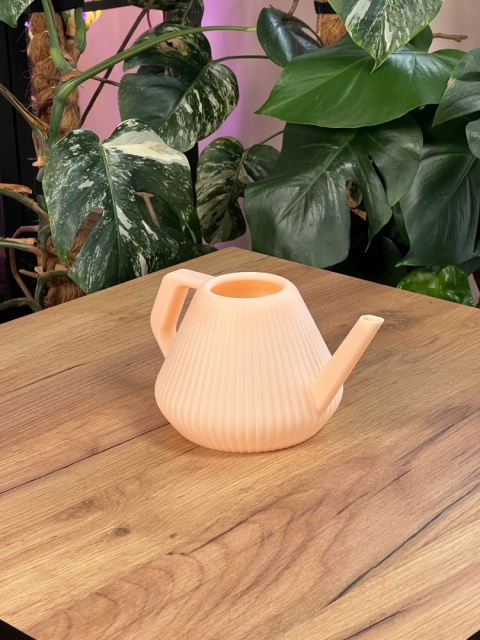 Konewka Venusta Peach