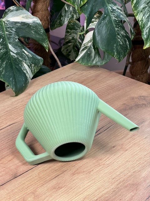 Konewka Venusta Wild Sage