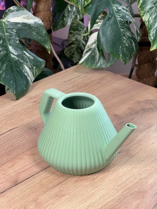 Konewka Venusta Wild Sage