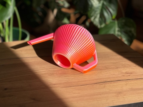 Konewka Venusta Gecko Sunset