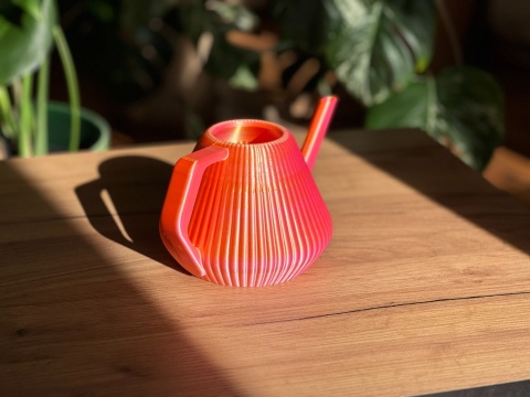 Konewka Venusta Gecko Sunset