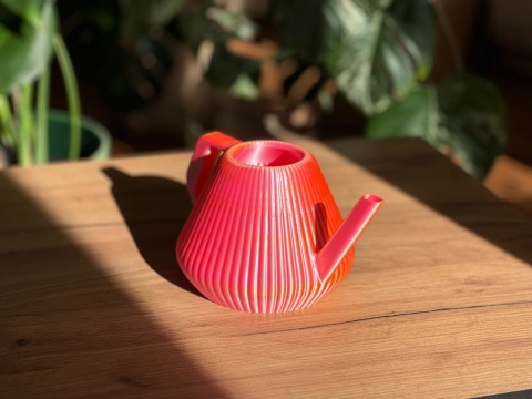 Konewka Venusta Gecko Sunset