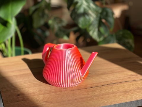 Konewka Venusta Gecko Sunset