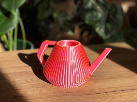 Konewka Venusta Gecko Sunset