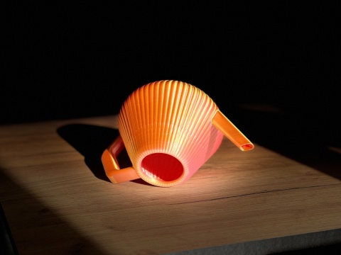 Konewka Venusta Gecko Sunset