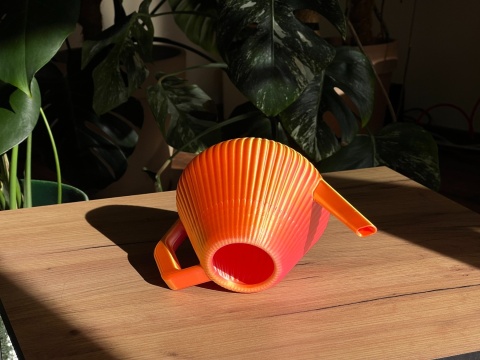 Konewka Venusta Gecko Sunset