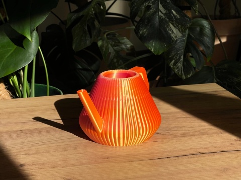 Konewka Venusta Gecko Sunset