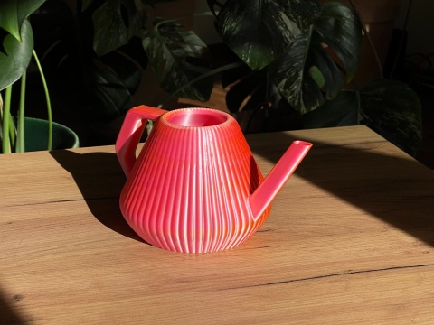 Konewka Venusta Gecko Sunset